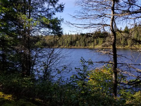 Photo from Introduction to backpacking - A first trip with Tim
