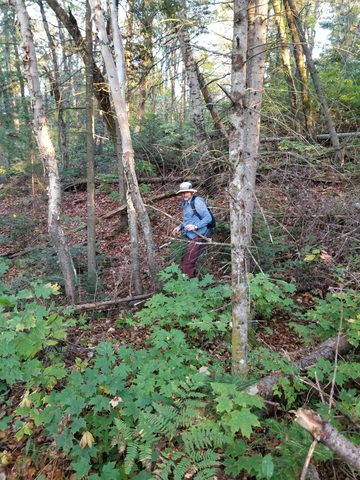 Photo from Introduction to backpacking - A first trip with Tim