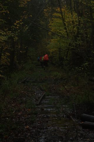 Photo from Thanksgiving weekend in Algonquin Provincial Park