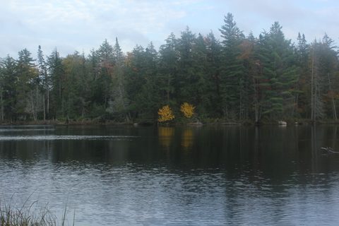 Photo from Thanksgiving weekend in Algonquin Provincial Park