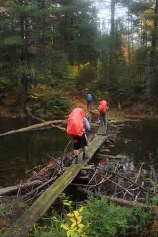 Photo from Thanksgiving weekend in Algonquin Provincial Park