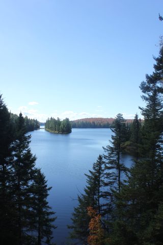 Photo from Thanksgiving weekend in Algonquin Provincial Park
