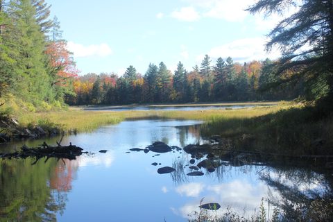 Photo from Thanksgiving weekend in Algonquin Provincial Park