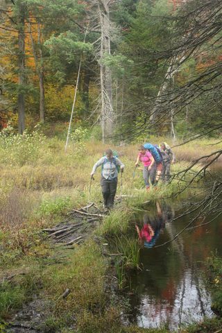 Photo from Thanksgiving weekend in Algonquin Provincial Park