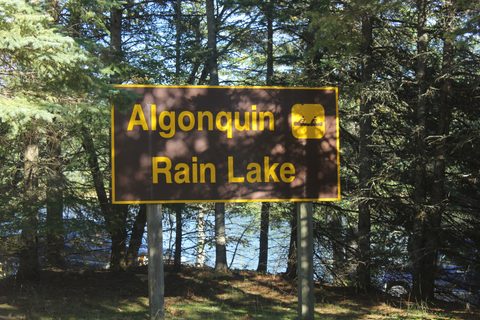 Photo from Thanksgiving weekend in Algonquin Provincial Park