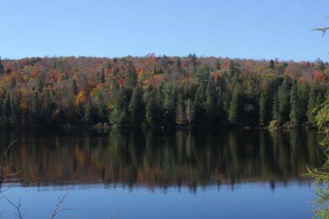 Photo from Thanksgiving weekend in Algonquin Provincial Park