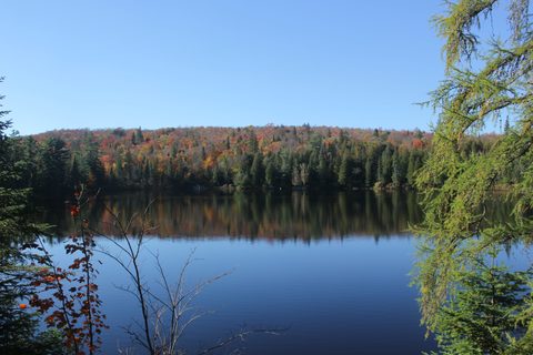 Photo from Thanksgiving weekend in Algonquin Provincial Park