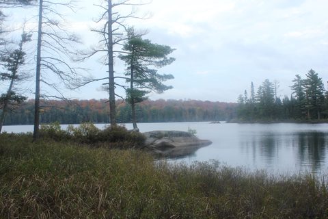 Photo from Thanksgiving weekend in Algonquin Provincial Park