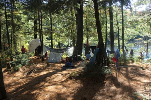 Photo from Thanksgiving weekend in Algonquin Provincial Park