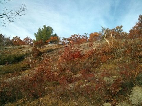 Photo from Backpacking West Side of QEW, Trip #2