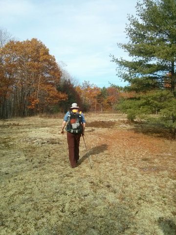 Photo from Backpacking West Side of QEW, Trip #2