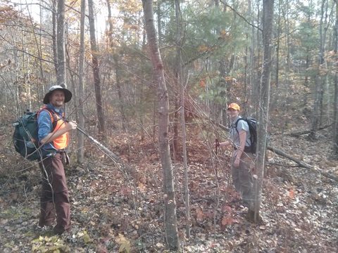 Photo from Backpacking West Side of QEW, Trip #2