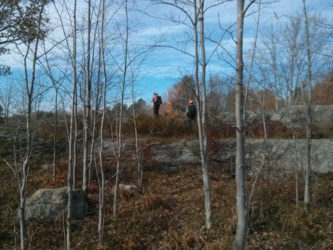 Photo from Backpacking West Side of QEW, Trip #2