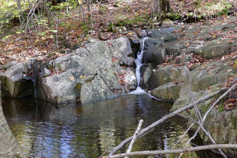 Photo from Thanksgiving in Killarney Park