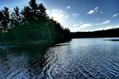 Photo from Thanksgiving in Killarney Park