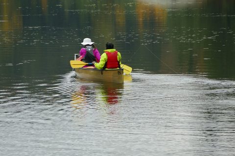 Photo from Thanksgiving in Killarney Park