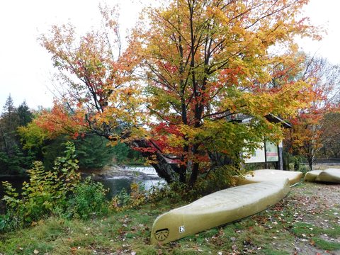 Photo from Thanksgiving in Killarney Park