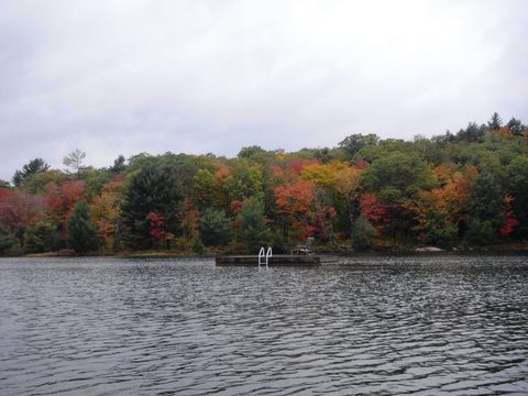 Photo from Thanksgiving in Killarney Park