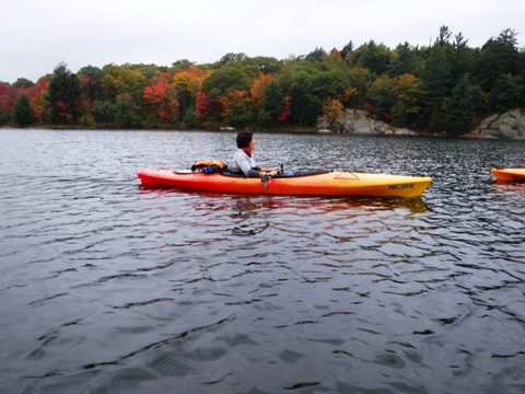 Photo from Thanksgiving in Killarney Park