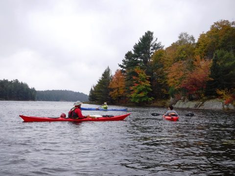Photo from Thanksgiving in Killarney Park