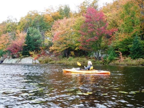 Photo from Thanksgiving in Killarney Park