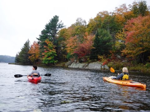 Photo from Thanksgiving in Killarney Park