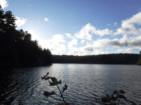 Photo from Thanksgiving in Killarney Park