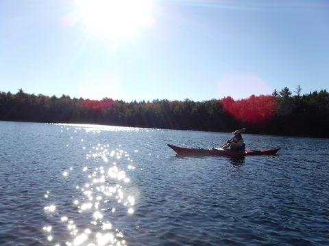 Photo from Thanksgiving in Killarney Park
