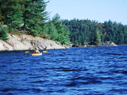 Photo from Thanksgiving in Killarney Park