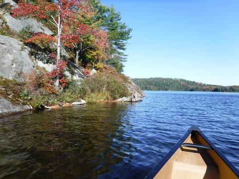 Photo from Thanksgiving in Killarney Park