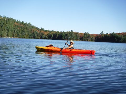 Photo from Thanksgiving in Killarney Park