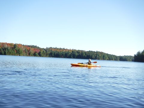 Photo from Thanksgiving in Killarney Park