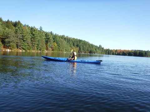 Photo from Thanksgiving in Killarney Park