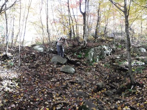 Photo from Thanksgiving in Killarney Park
