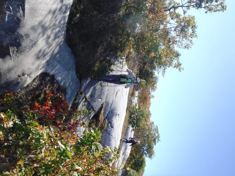 Photo from Thanksgiving in Killarney Park