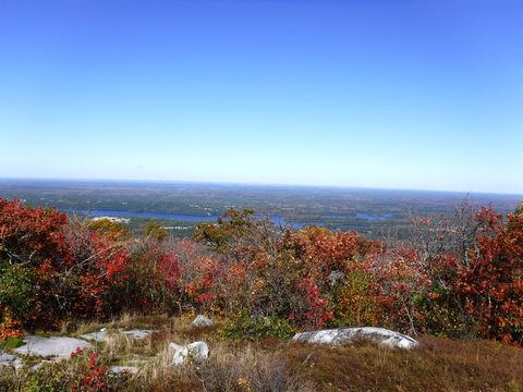 Photo from Thanksgiving in Killarney Park