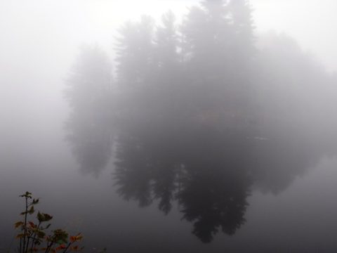 Photo from Thanksgiving in Killarney Park