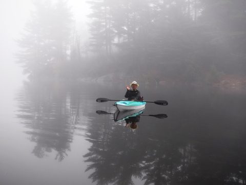 Photo from Thanksgiving in Killarney Park