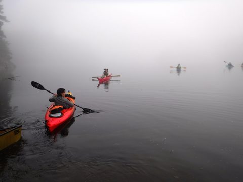 Photo from Thanksgiving in Killarney Park