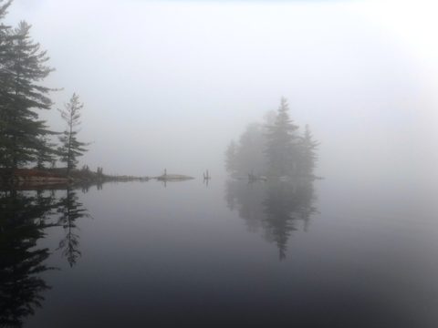 Photo from Thanksgiving in Killarney Park
