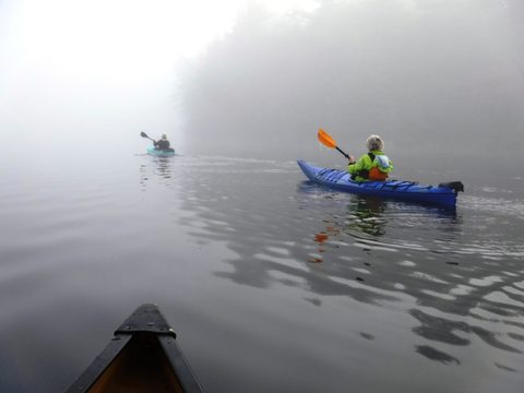 Photo from Thanksgiving in Killarney Park