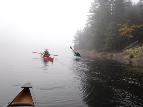 Photo from Thanksgiving in Killarney Park