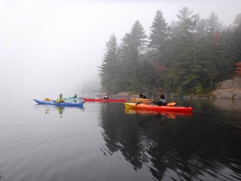 Photo from Thanksgiving in Killarney Park