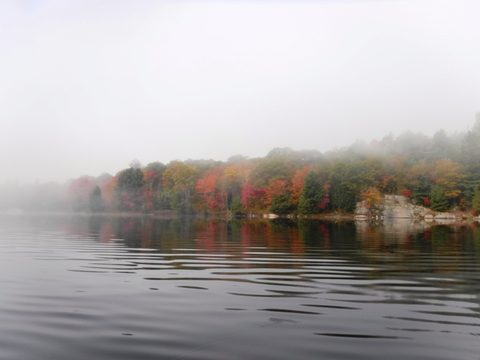 Photo from Thanksgiving in Killarney Park