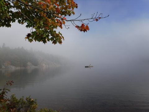 Photo from Thanksgiving in Killarney Park