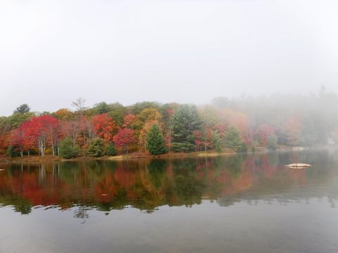 Photo from Thanksgiving in Killarney Park