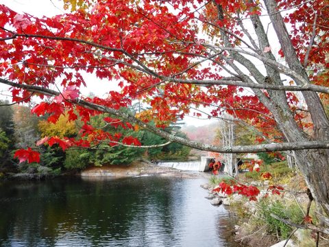 Photo from Thanksgiving in Killarney Park