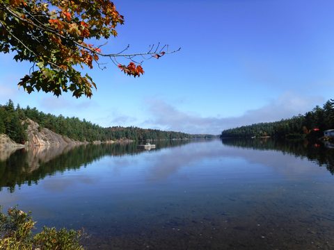 Photo from Thanksgiving in Killarney Park