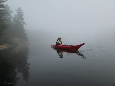Photo from Thanksgiving in Killarney Park