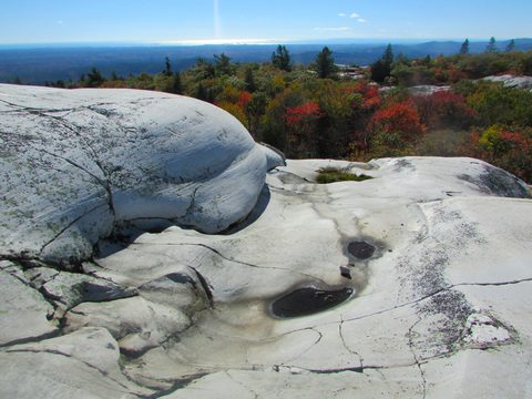 Photo from Thanksgiving in Killarney Park